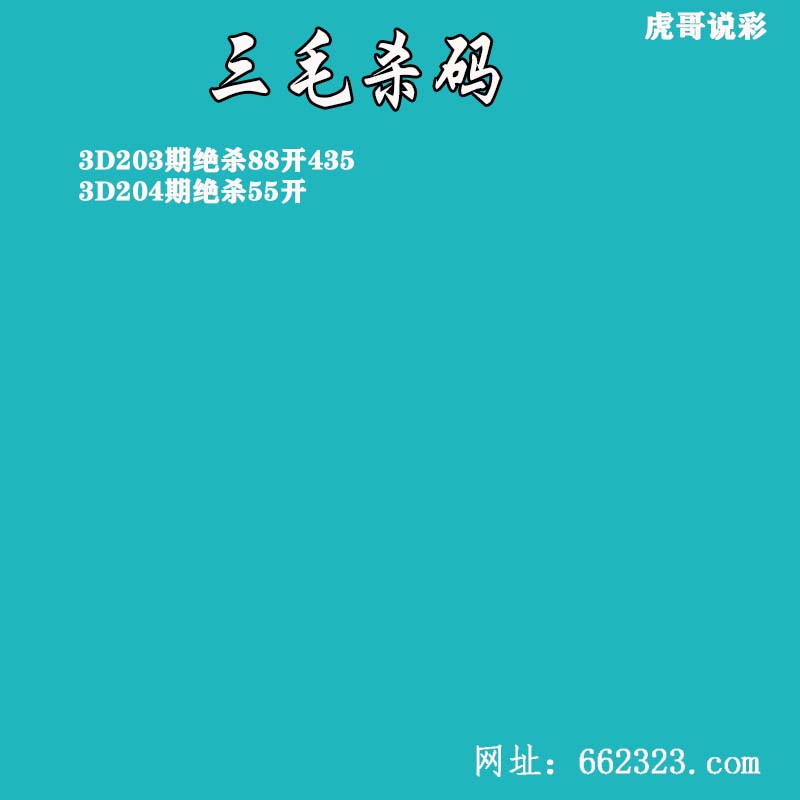三毛杀码.jpg